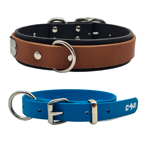 Get Leather Dog Collar, Blue Decorative Stones