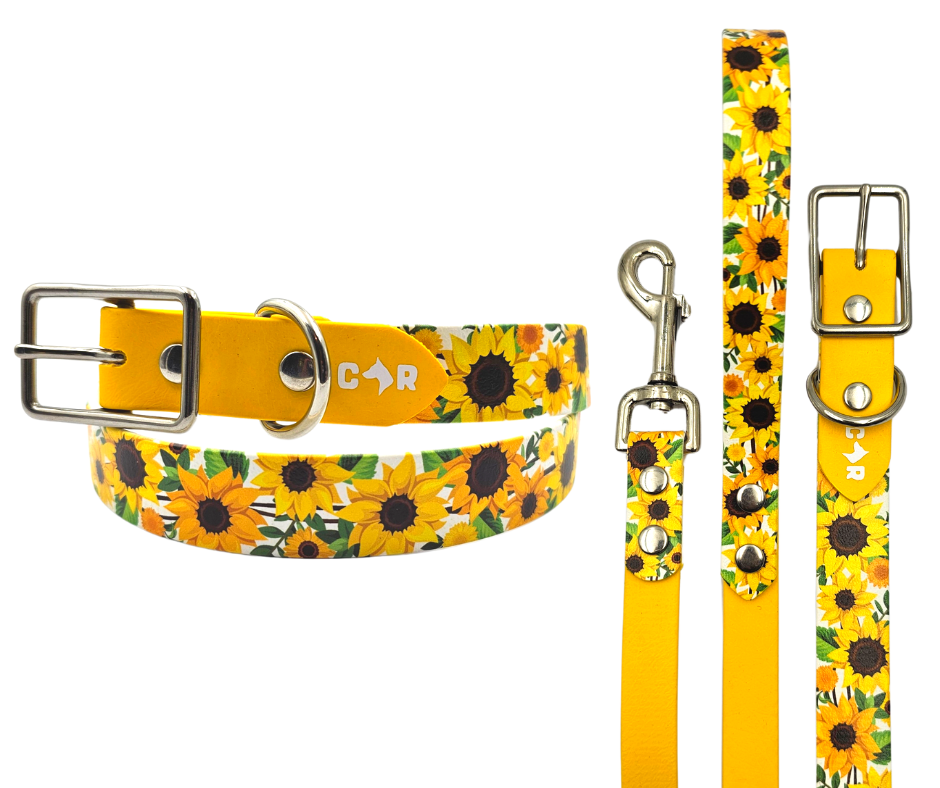 Sunflower dog deals collar