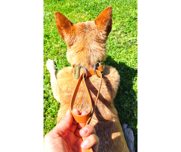 Collar & Ruff BioThane Lure Coursing Combo