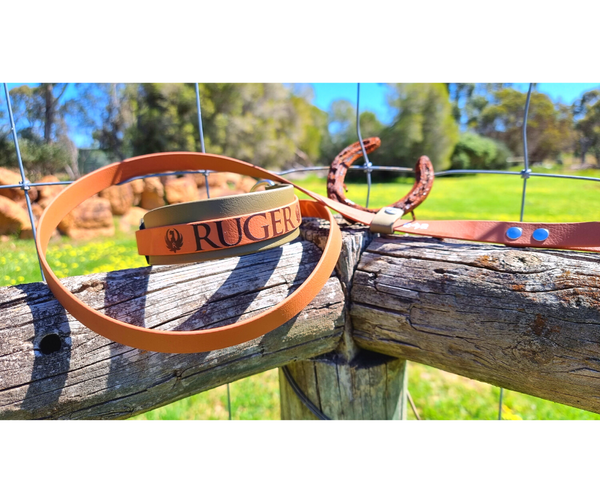 Collar & Ruff BioThane Lure Coursing Combo