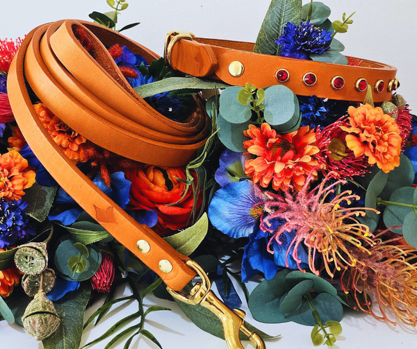 The Reya Collar