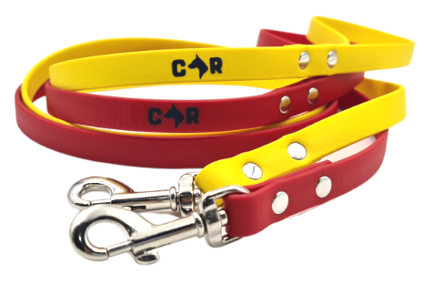Collar & Ruff BioThane Lead - Small Dog & Puppy