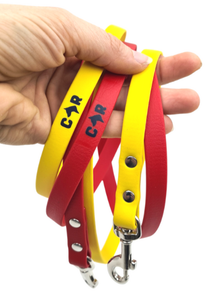 Collar & Ruff BioThane Lead - Small Dog & Puppy