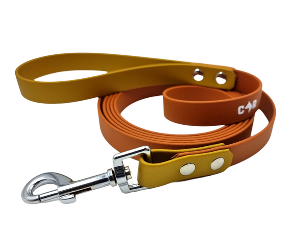 Collar & Ruff Biothane "Duet" Leads