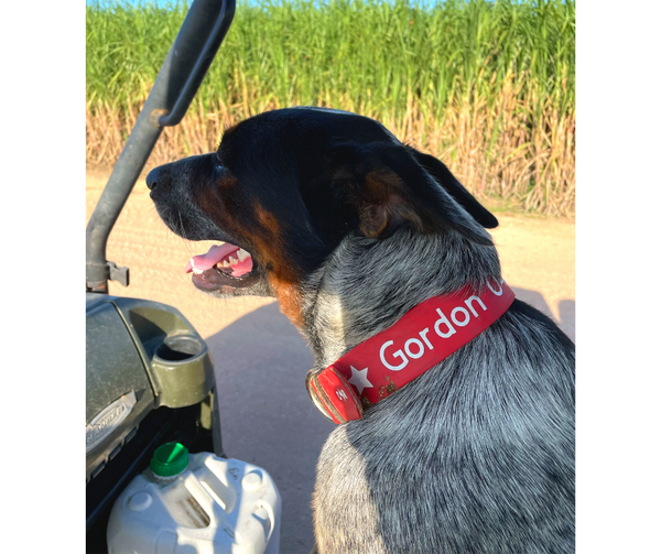 Collar & Ruff Biothane Print Quick ID Collars