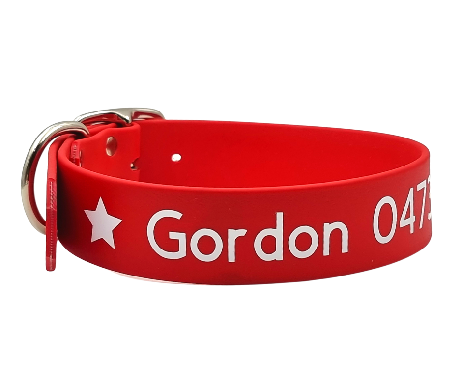 Liverpool fc dog collar hot sale medium