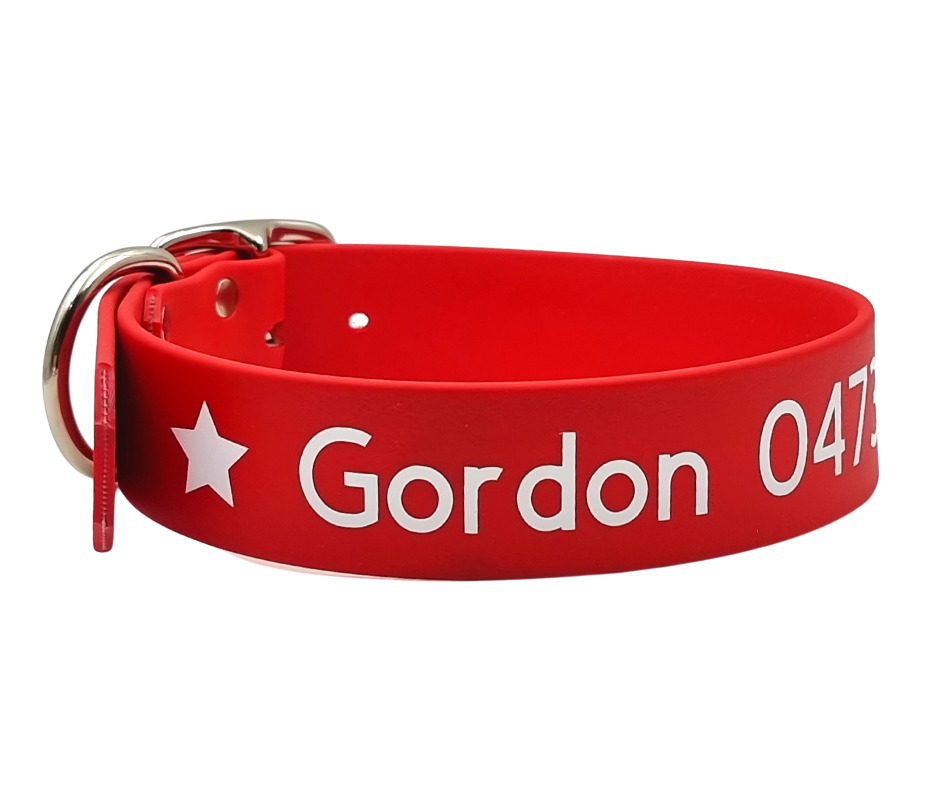 Liverpool best sale dog collar