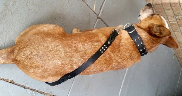 Matching Traffic Leash