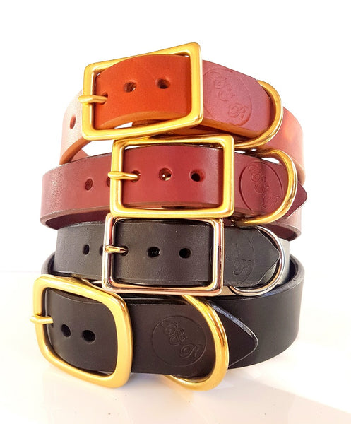 The Signature Collar - Adult Dogs