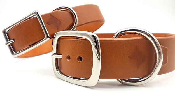 The Signature Collar - Adult Dogs
