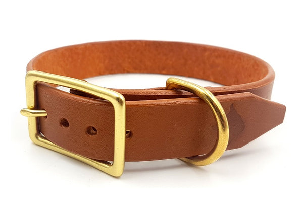 The Signature Collar - Adult Dogs