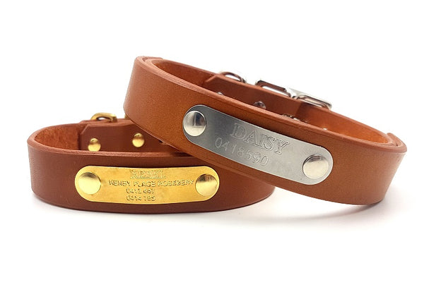 The Signature Collar - Adult Dogs