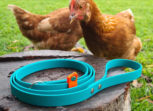 Collar & Ruff Biothane Slip Lead