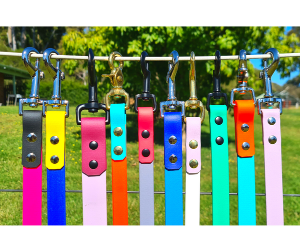 Collar & Ruff Biothane "Duet" Leads