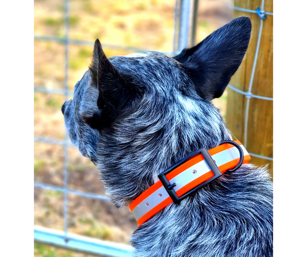Collar & Ruff Biothane Reflective Collars