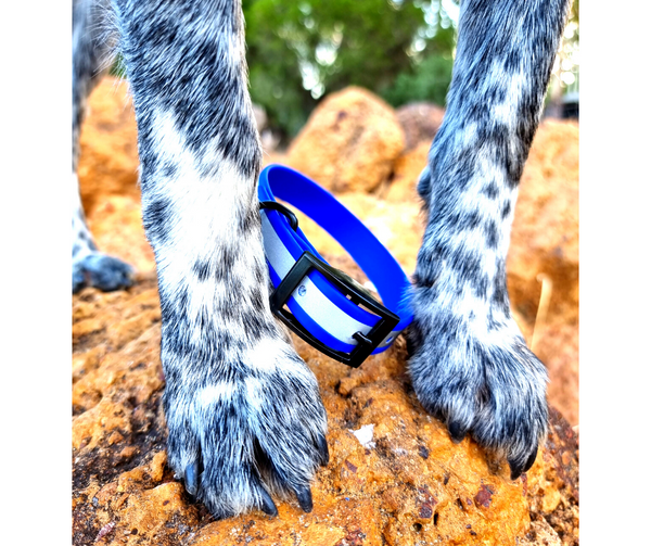 Collar & Ruff Biothane Reflective Collars