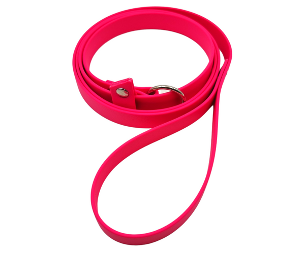 Collar & Ruff Biothane Slip Lead