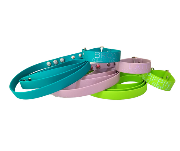 Collar & Ruff Biothane Martingale Collar Combo