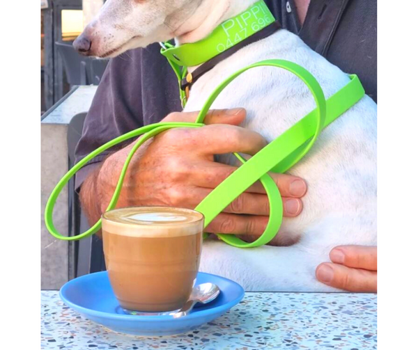 Collar & Ruff Biothane Martingale Collar Combo