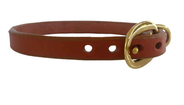 The Signature Collar - Puppies