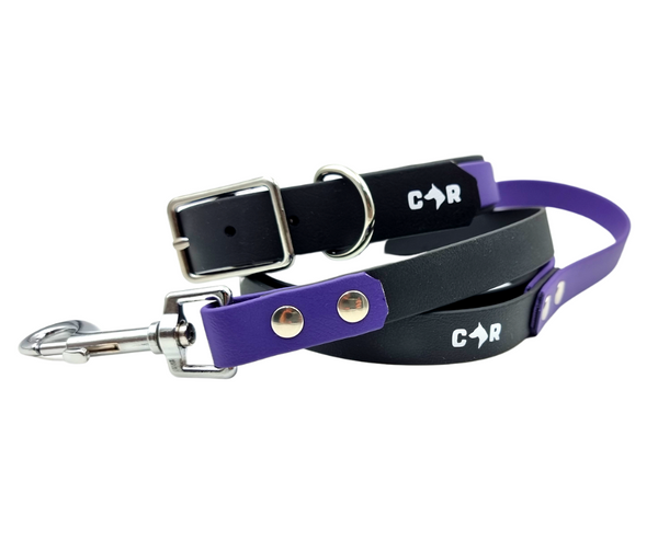 Collar & Ruff Biothane "Duet" Collars - 25mm