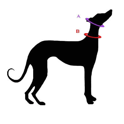 Martingale Sizing.jpg
