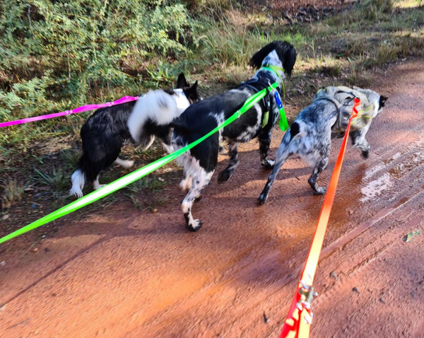 Collar & Ruff Biothane Multi-Lead