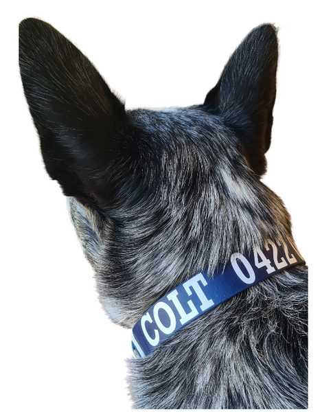 Collar & Ruff Biothane Print Quick ID Collars