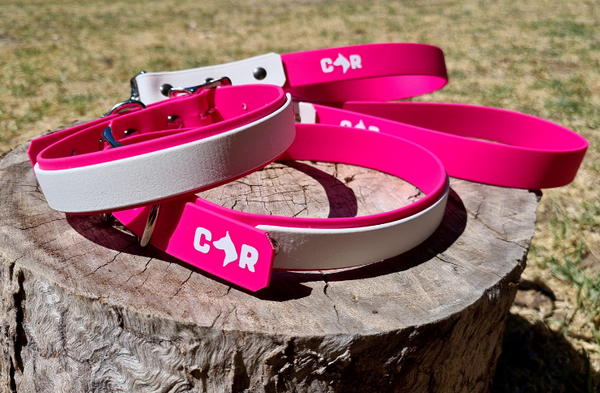 Collar & Ruff Biothane "Duet" Collars - 20mm
