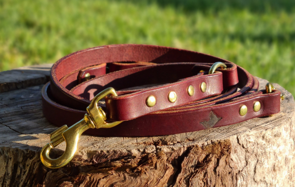 Multipoint Lead