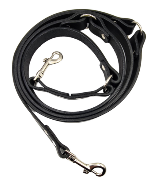 Multipoint Lead