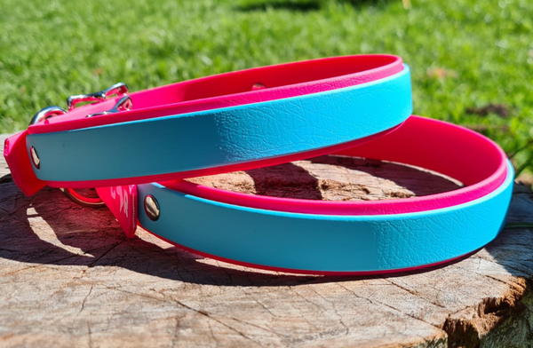 Collar & Ruff Biothane "Duet" Collars - 25mm
