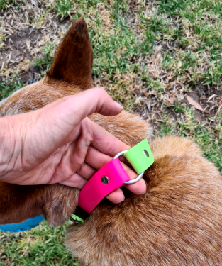 Collar & Ruff Biothane Safety Collar