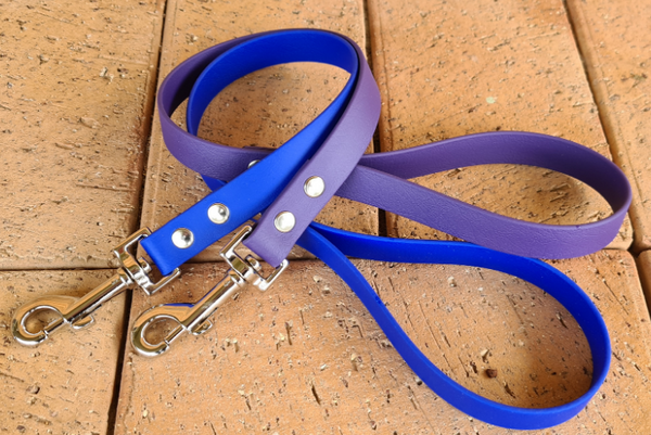 Collar & Ruff BioThane Traffic Lead