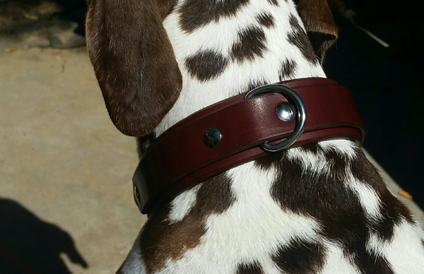 DogBolt.png