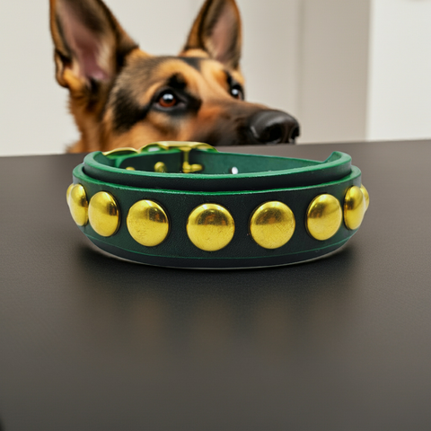 The Bold Collar