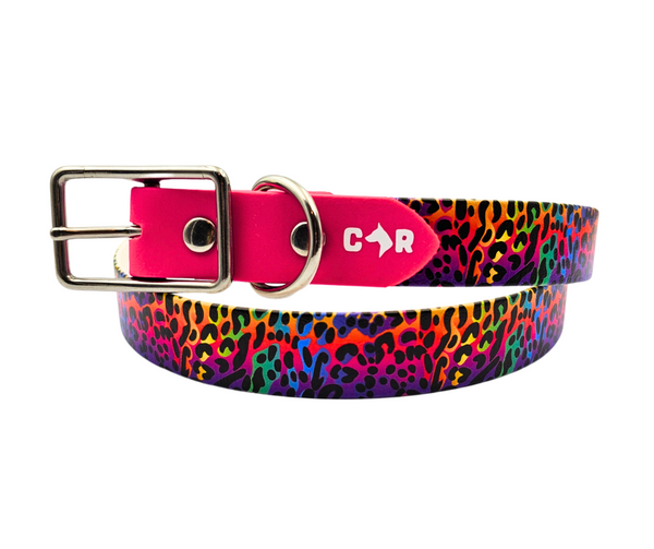 UV Print Two-Tone BioThane Collars