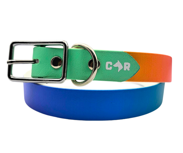 UV Print Two-Tone BioThane Collars