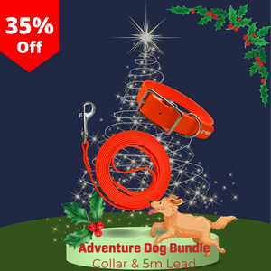 Christmas Adventure Dog Bundle