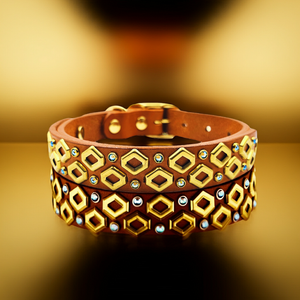 The Fame Collar