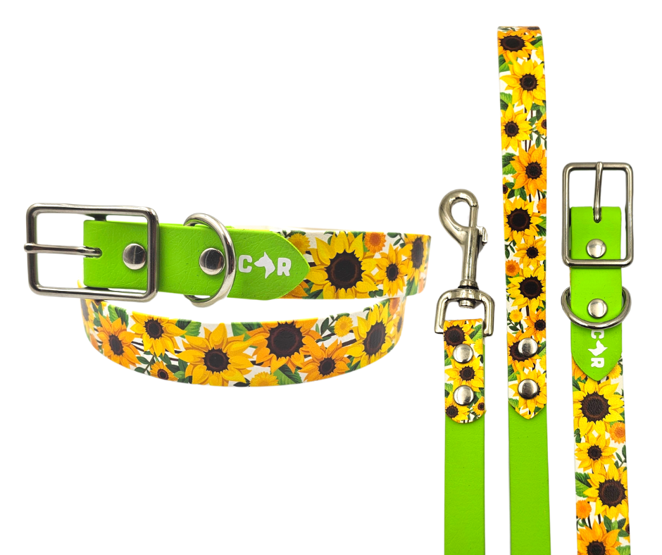 Dog sunflower collar best sale