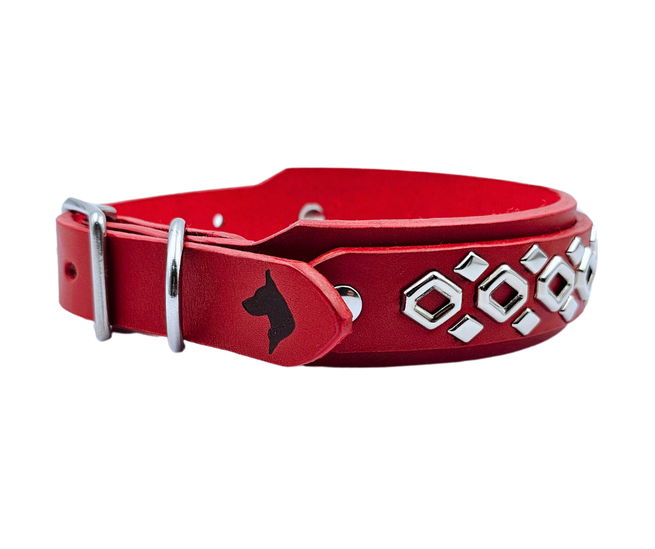 The Chain Collar – Collar & Ruff