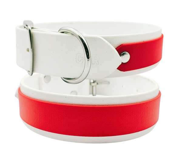 Collar & Ruff Biothane "Duet" Collars - 40mm