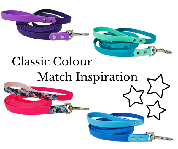 Collar & Ruff Biothane "Duet" Leads