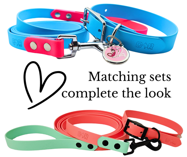 Collar & Ruff Biothane "Duet" Collars - 20mm