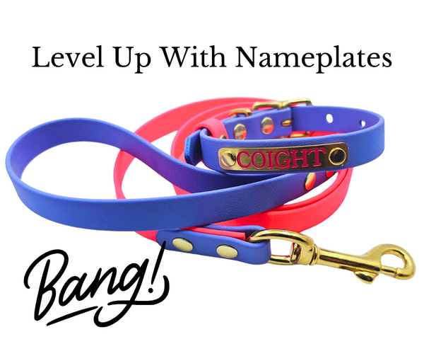 Collar & Ruff Biothane "Duet" Collars - 40mm