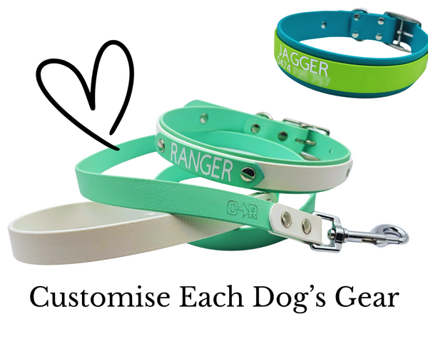 Collar & Ruff Biothane "Duet" Leads