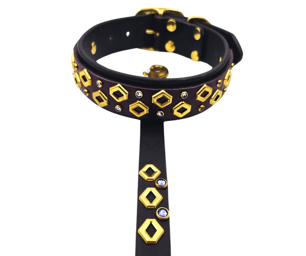 The Fame Collar