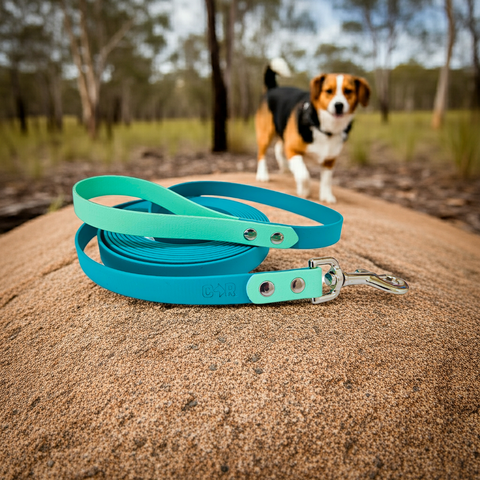 Collar & Ruff Biothane "Duet" Long Lines