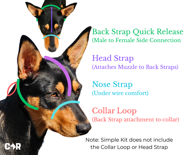 BioThane Muzzle Strap Kit